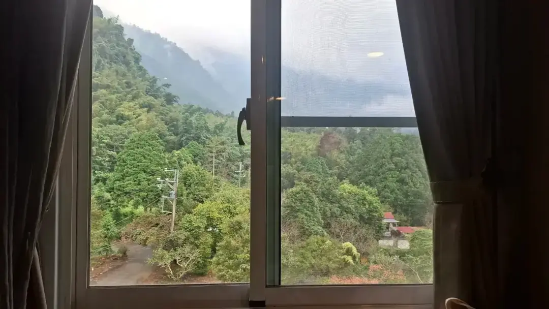 旅客實拍
