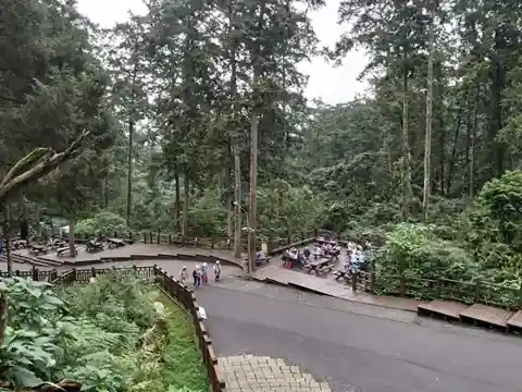 神木廣場