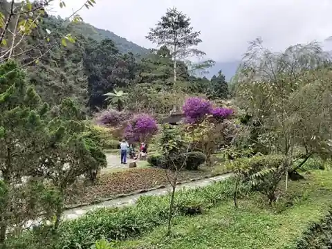 大學池一帶