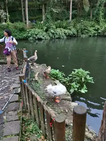 大學池