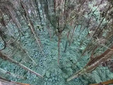 從走廊往下看