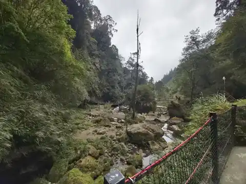 園區溪谷